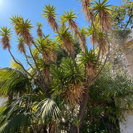 L'ensoleillee Vue Panoramique Mer, 250 M De La Et Du Centre Apartamento Menton